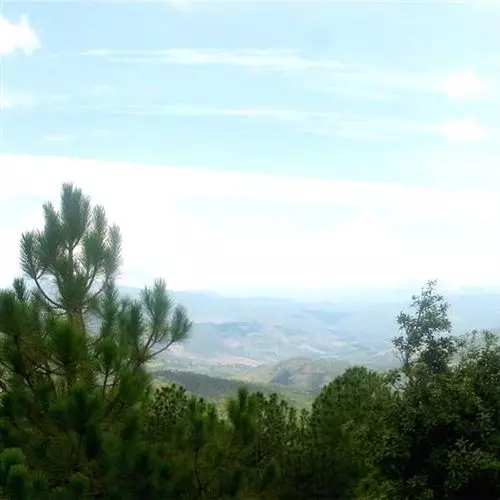 ホテル Mountain Trail