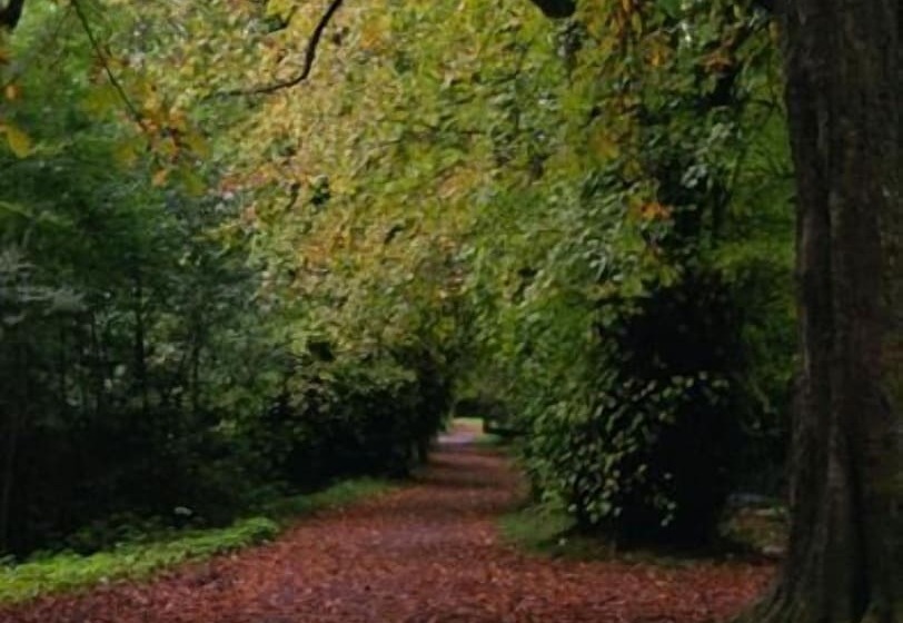 فندق River Island