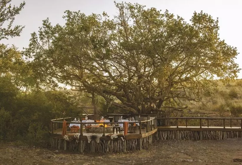 Tuningi Safari Lodge