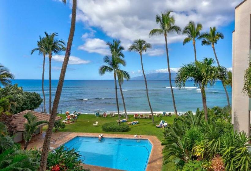 Maui Westside Presents: Hale Mahina B302 1bed/1bath Turtle Condo!