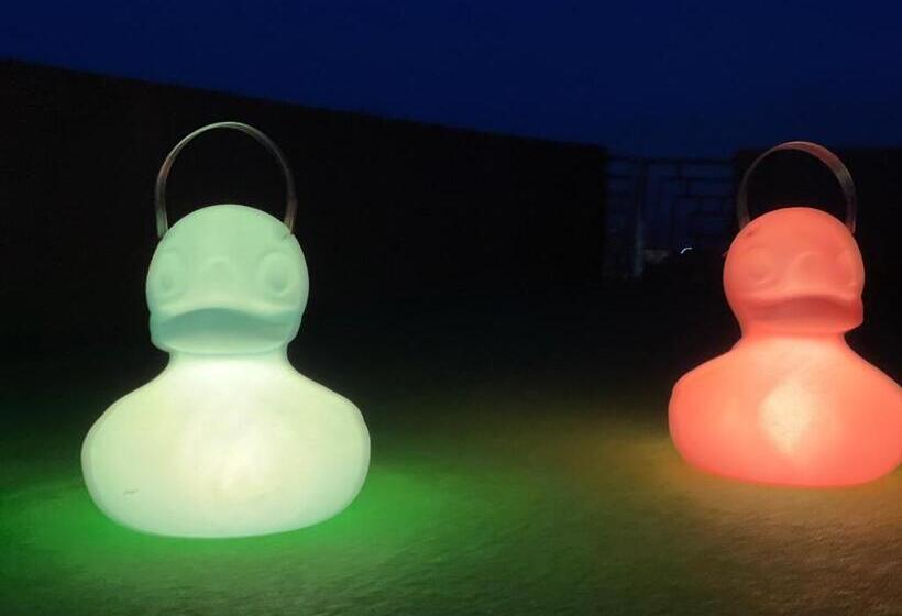 پانسیون Casa Ryn