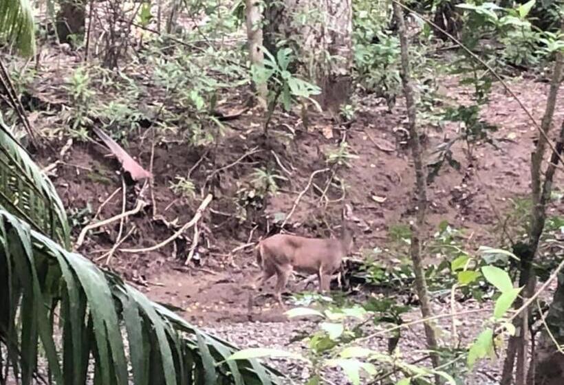 مبيت وإفطار Donde Familia Manito