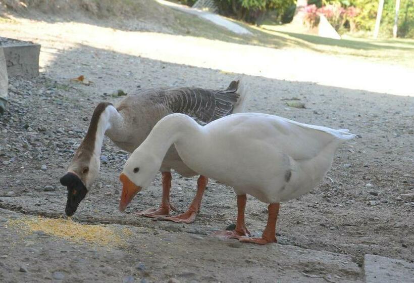 민박 Mangalobby Finca