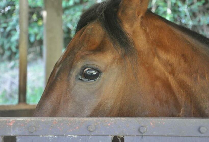 민박 Mangalobby Finca