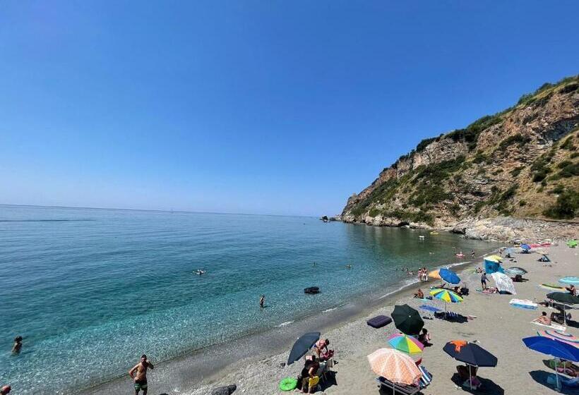 Citrarium B&b   Apartaments