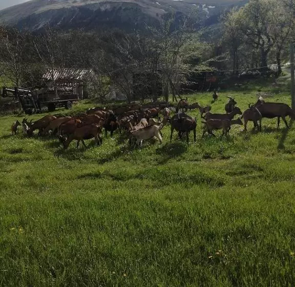 ホテル Agriturismo Nonnu Lui`