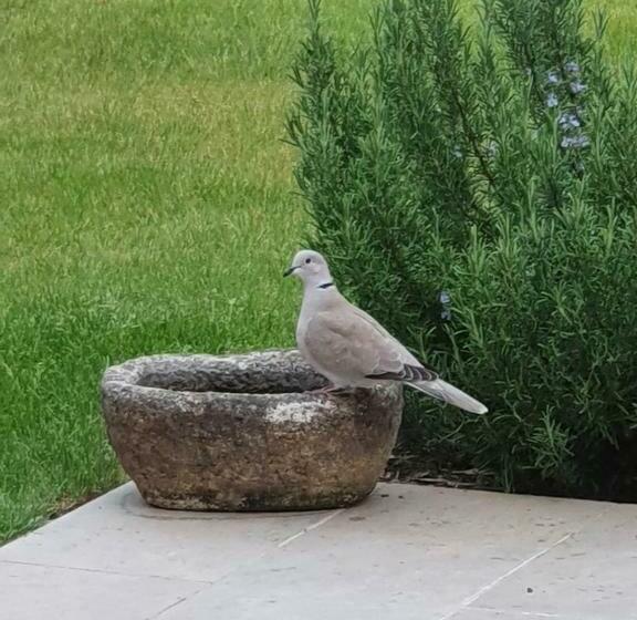 ペンション Le Clos Joly 14