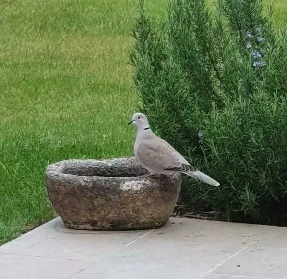 ペンション Le Clos Joly 14