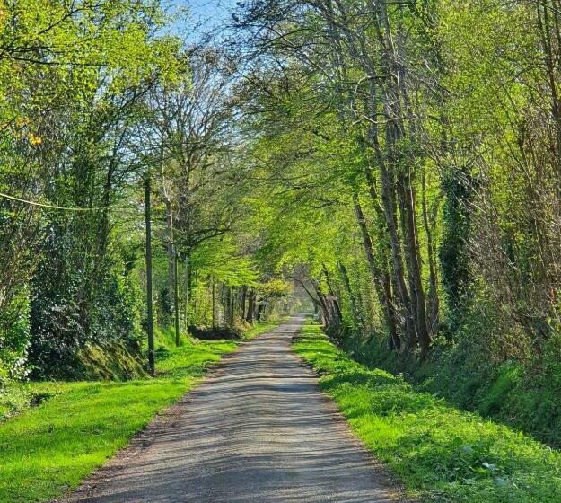 ペンション Le Clos Joly 14