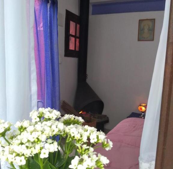 Общежитие Hospedagem Namastê