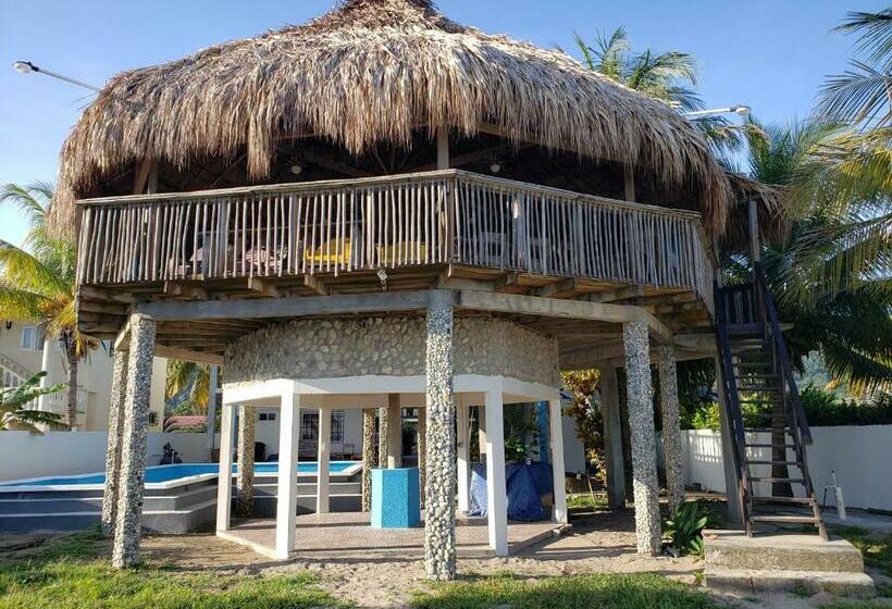 تختخواب و صبحانه Paradise Found