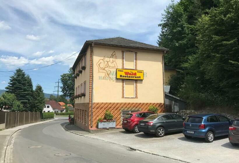 בית מלון כפרי Waldrestaurant Vida