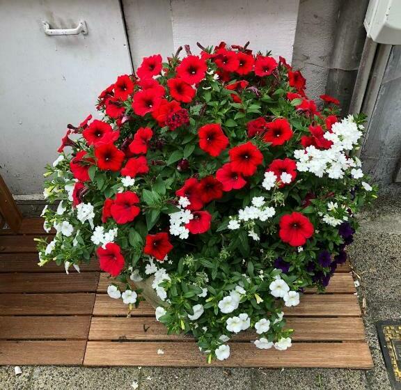 بنسيون Sint Andries Suites