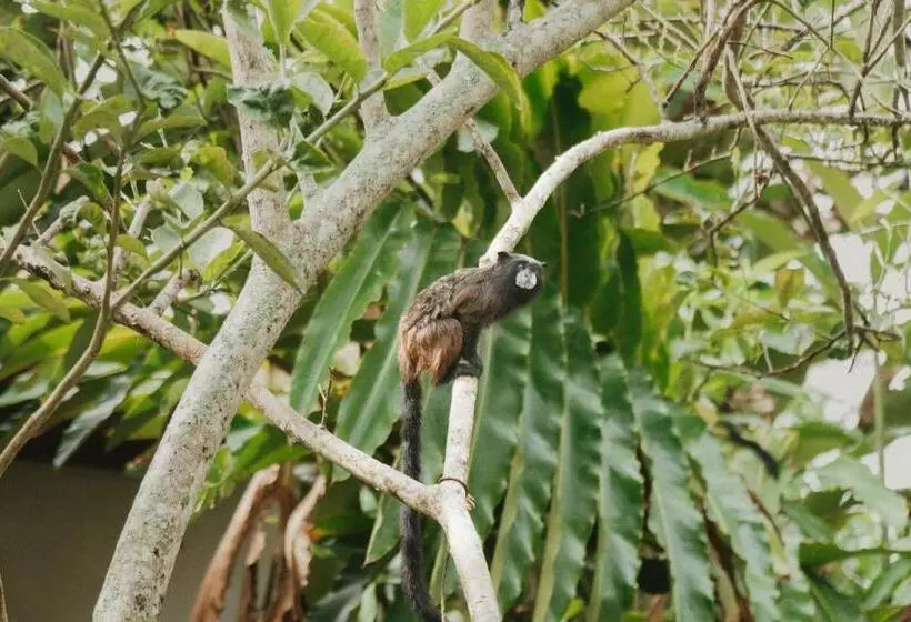 ホテル Villa Lu Amazon Ecolodge