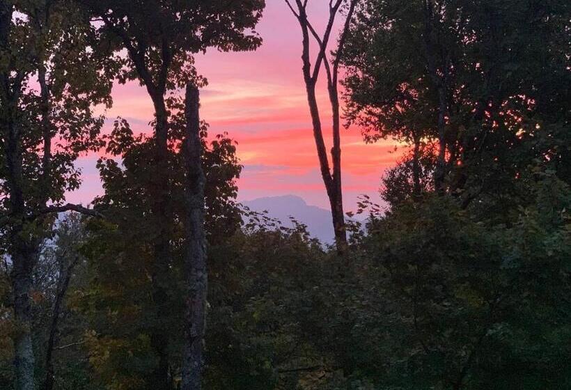 Appresski   5 Bed Ski In Ski Out   50 Steps To Ski Sugar Mountain Slopes