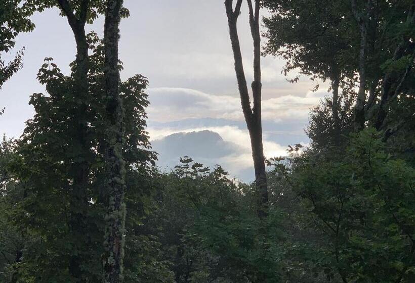 Appresski   5 Bed Ski In Ski Out   50 Steps To Ski Sugar Mountain Slopes