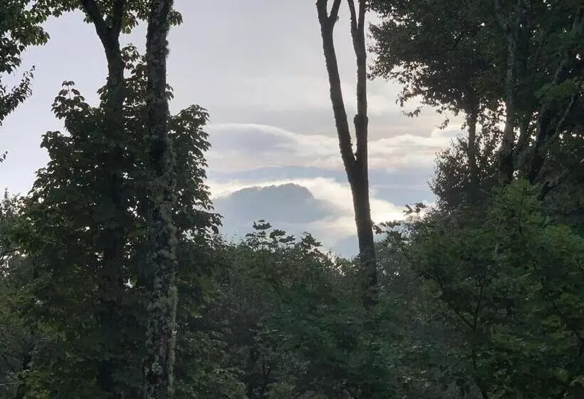 Appresski   5 Bed Ski In Ski Out   50 Steps To Ski Sugar Mountain Slopes