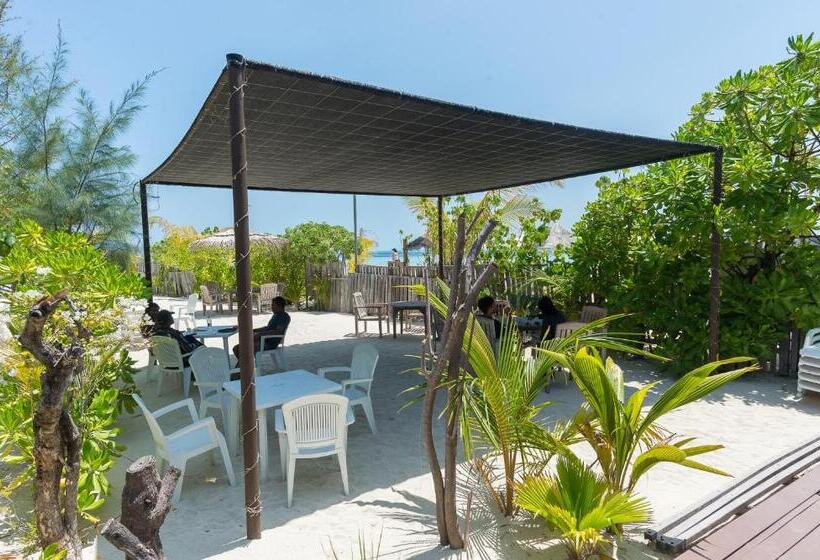 پانسیون Premier Beach