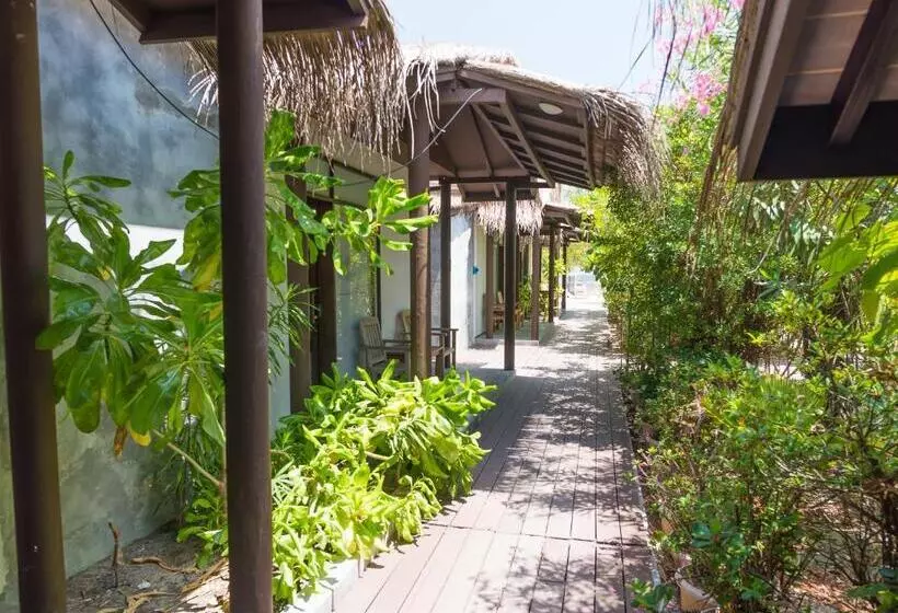 پانسیون Premier Beach