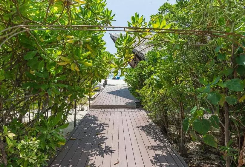 پانسیون Premier Beach