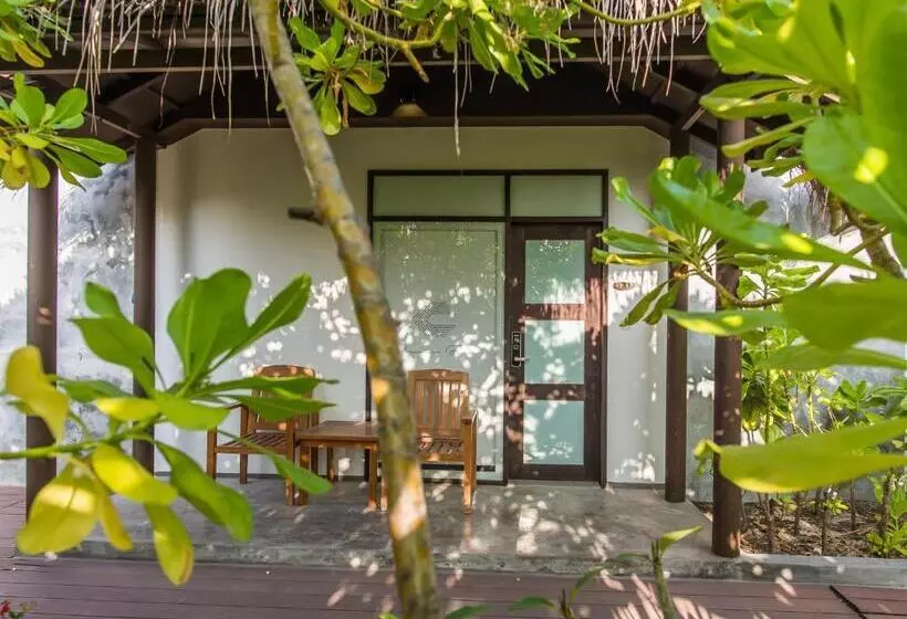 پانسیون Premier Beach