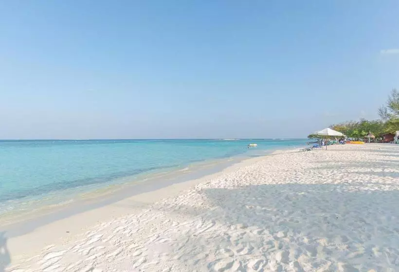 پانسیون Premier Beach