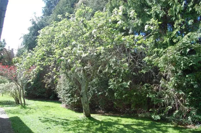 تختخواب و صبحانه Rockville Guest House