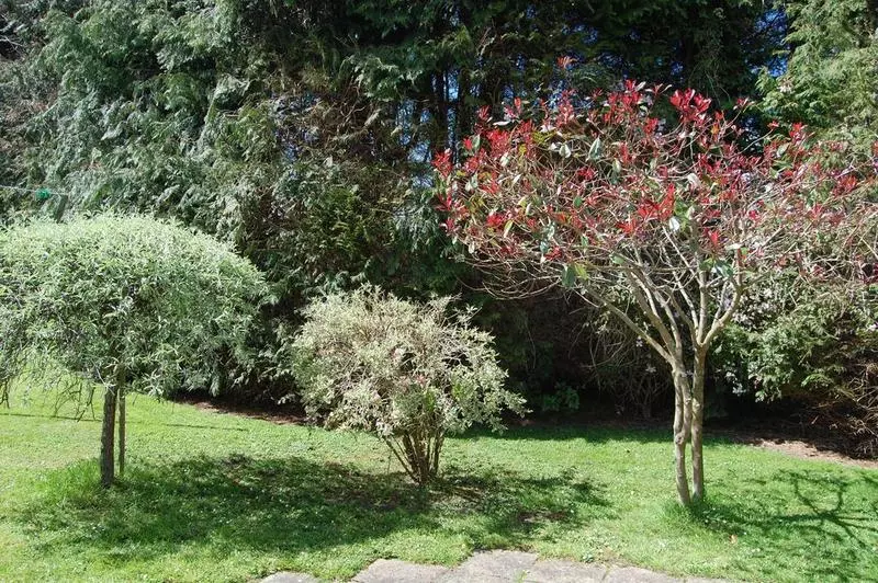 تختخواب و صبحانه Rockville Guest House