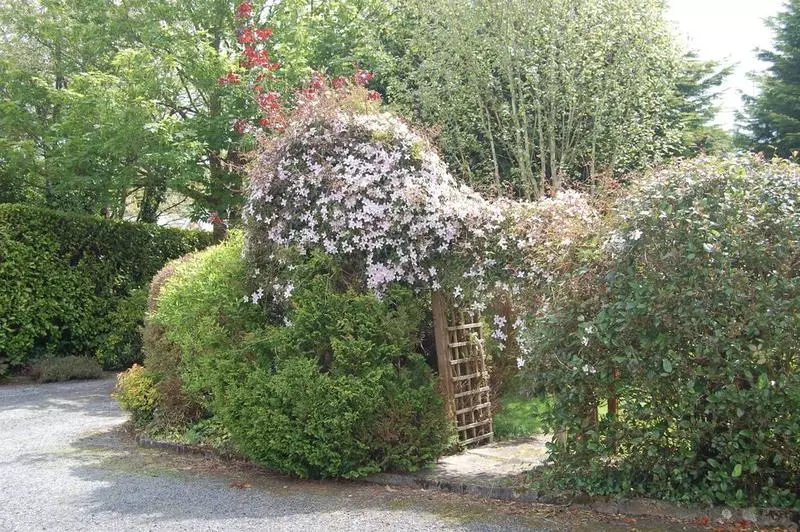 تختخواب و صبحانه Rockville Guest House
