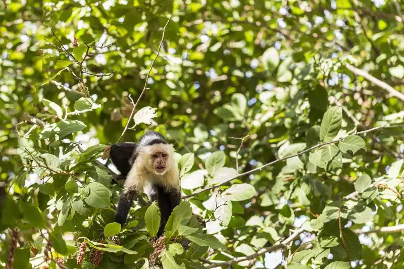 Four Seasons Resort Peninsula Papagayo, Costa Rica