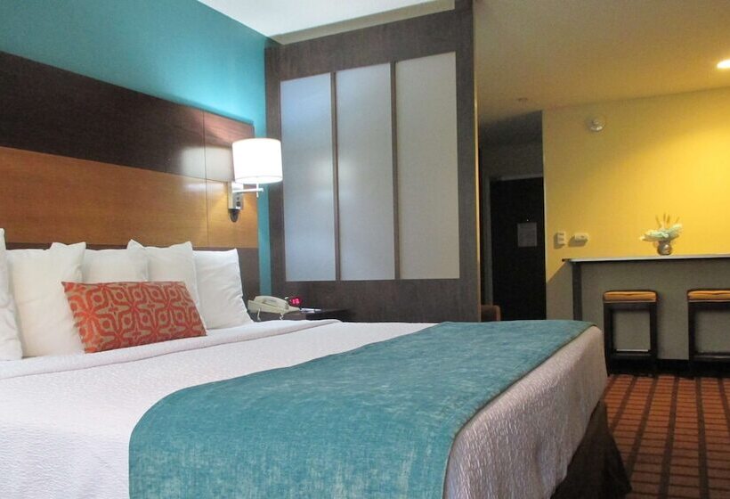 客栈  Best Western Plus Harrisburg Mechanicsburg