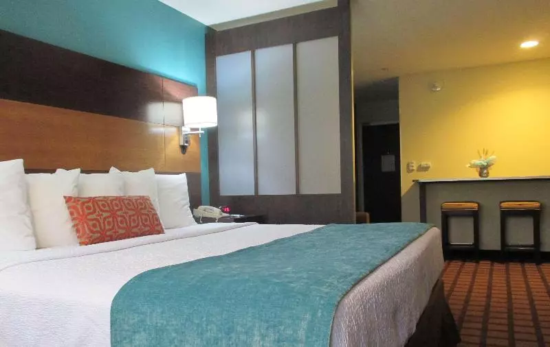 Хостел Best Western Plus Harrisburg Mechanicsburg