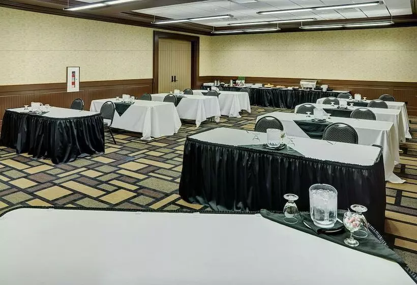 酒店 Chateau Nova Yellowhead