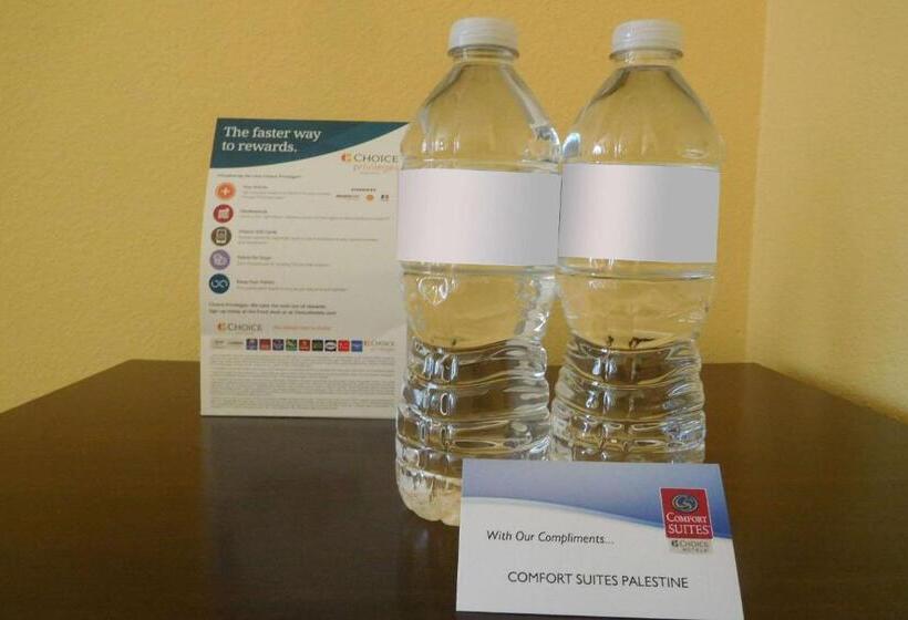 فندق Comfort Suites