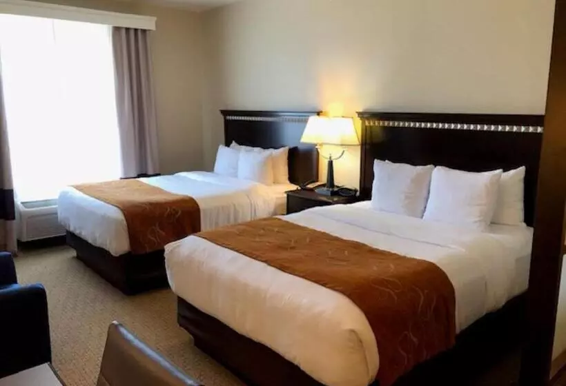 בית מלון כפרי Comfort Suites