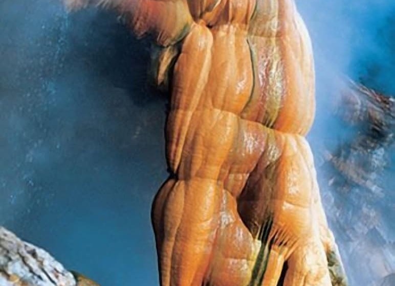 בית מלון כפרי Palatino