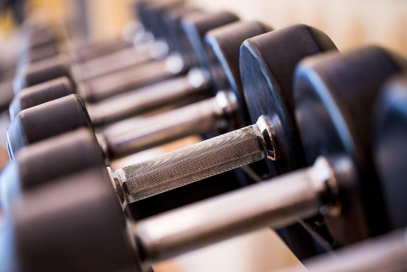 בית מלון כפרי Patria