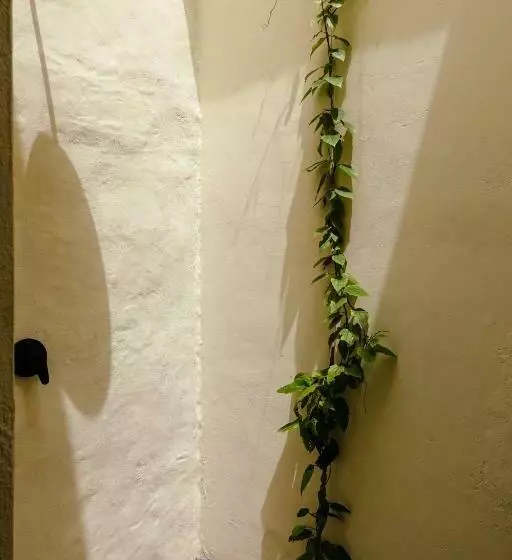 ベッドアンドブレックファースト Casa De Amigos Hotel Boutique