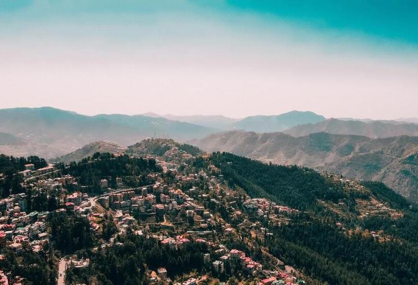 ホテル Seclude Shimla, Taraview