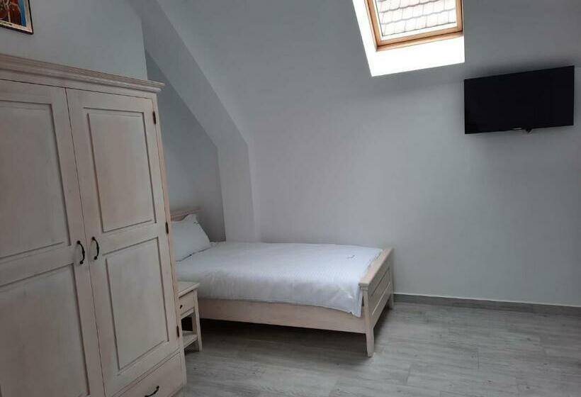 膳宿费 Casa De Oaspeti Maximilian