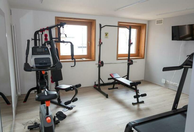 Residence Hotel Casa Alpina Serrada