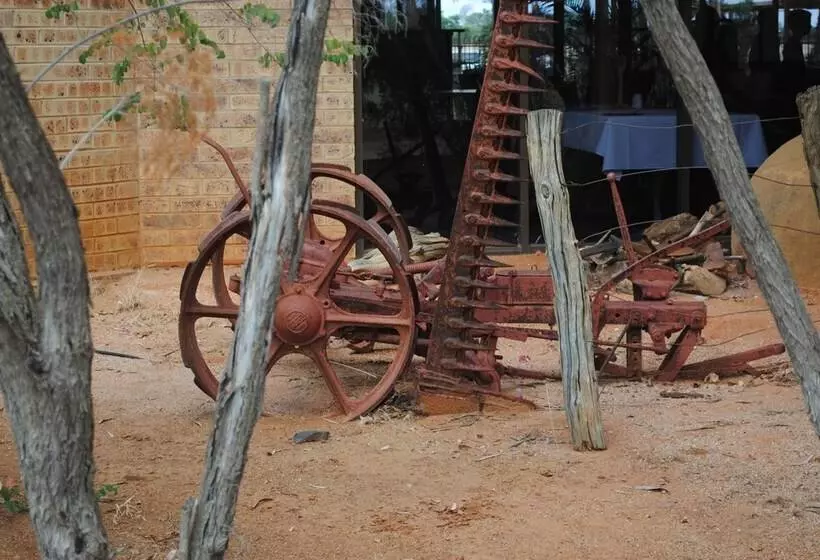 ホテル Albert Park Motor Inn King Beds Pool Shaded Parking