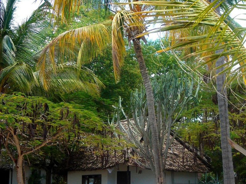 酒店 Driftwood Beach Club