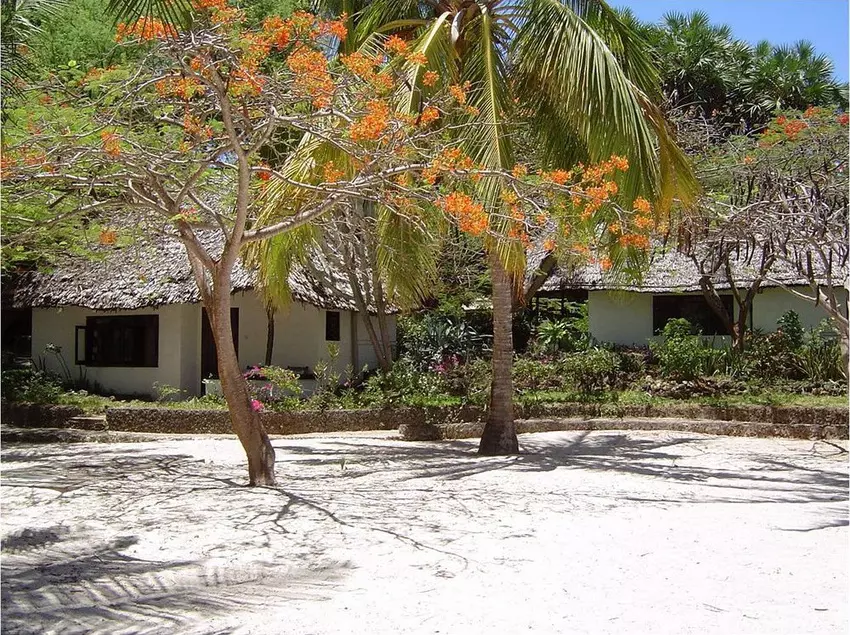 هتل Driftwood Beach Club