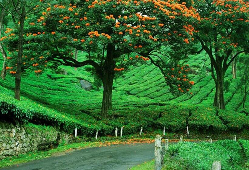 בית מלון כפרי Grand Plaza