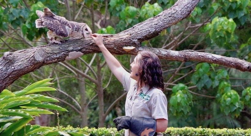 Montego Mermaid Beach Motel