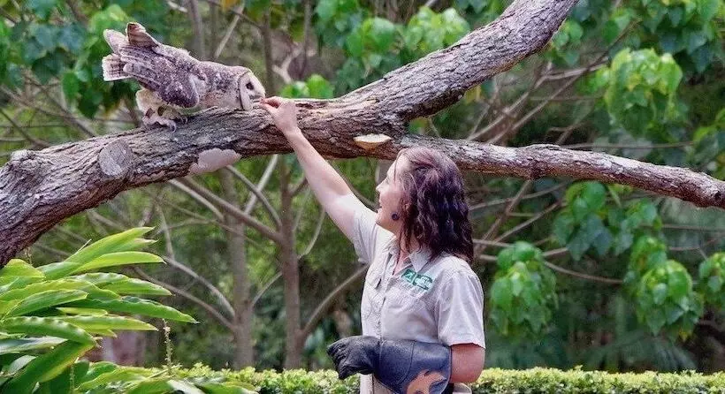 Montego Mermaid Beach Motel