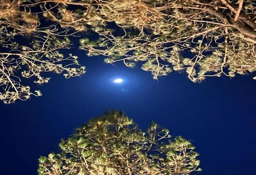 Hotelli Blusalzz Escapade Resort Lansdowne