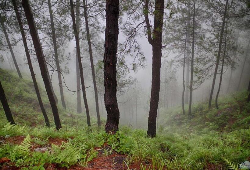 Hotel Blusalzz Escapade Resort Lansdowne