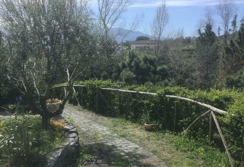 Отель Tenuta Terradifuoco